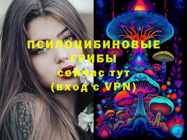 ECSTASY Верея