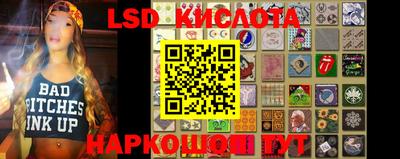 прущие грибы Гусиноозёрск