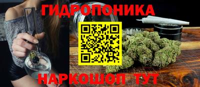 прущие грибы Гусиноозёрск